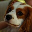 Jennifer Morrill - @BetweenTLines - Twitter