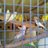 joannakelly464's profile image