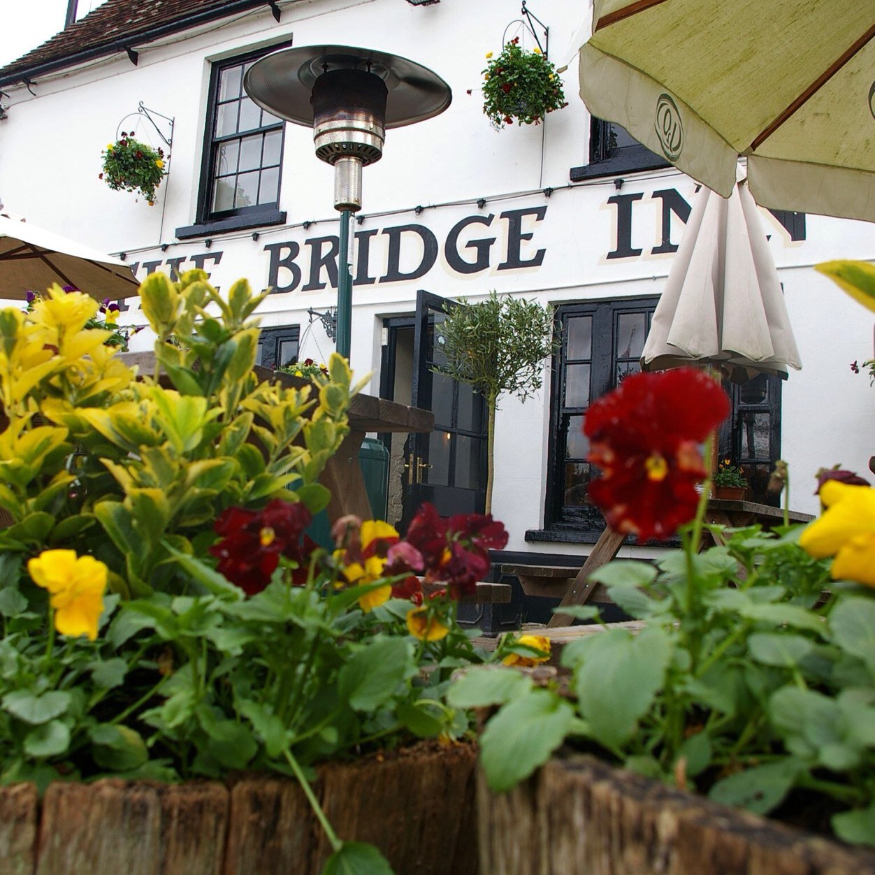 Delightful Country Pub in the South Downs National Park. Real ales and great food all year round. Woodland and riverside walks. Log fires and a warm welcome!
