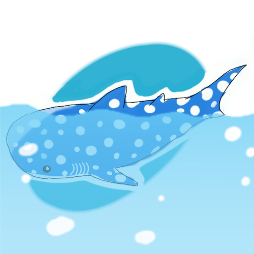 じんべいさんのプロフィール画像
