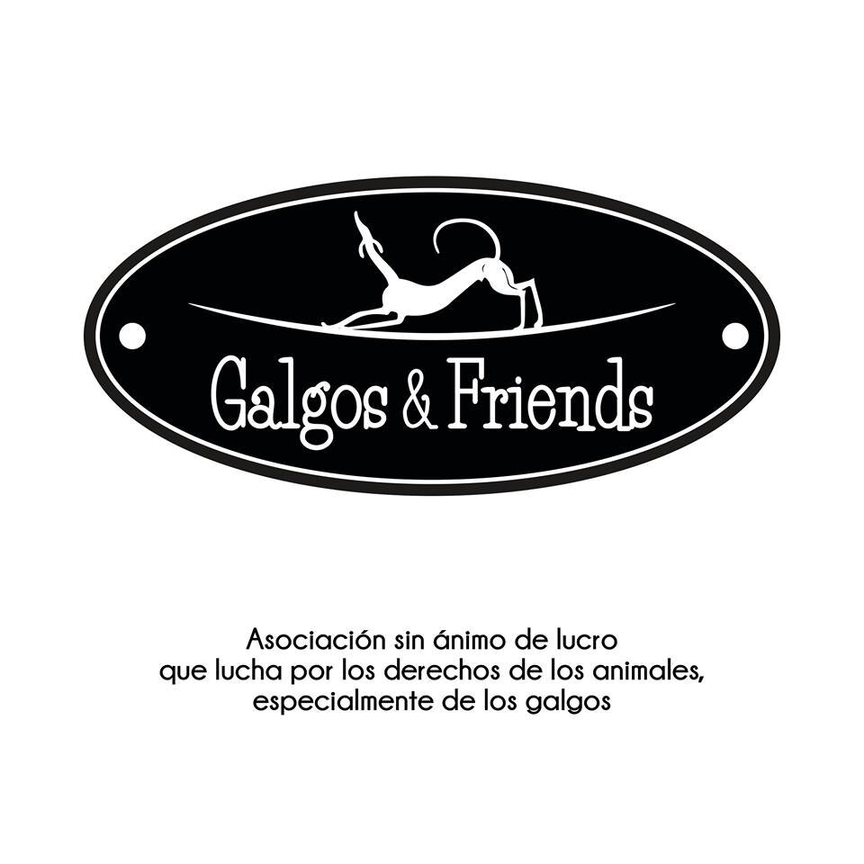 Galgos & Friends es una asociación sin ánimo de lucro creada por un grupo de personas amantes de los animales y en especial los galgos.