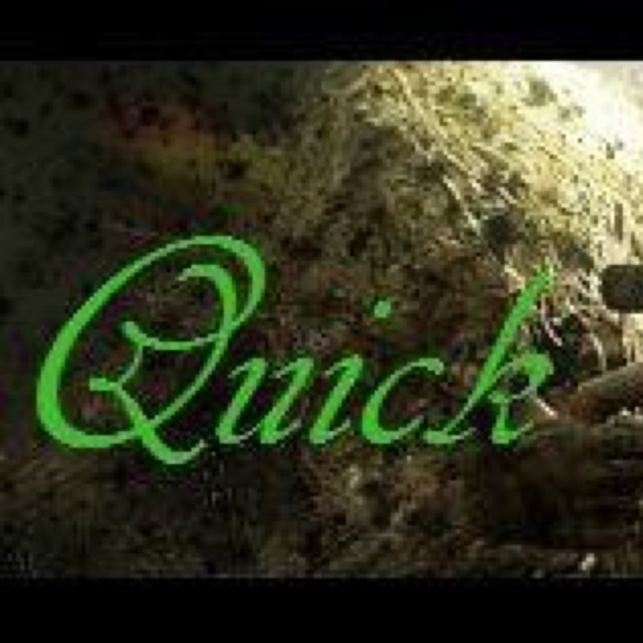 quickscubbie's profile picture. 