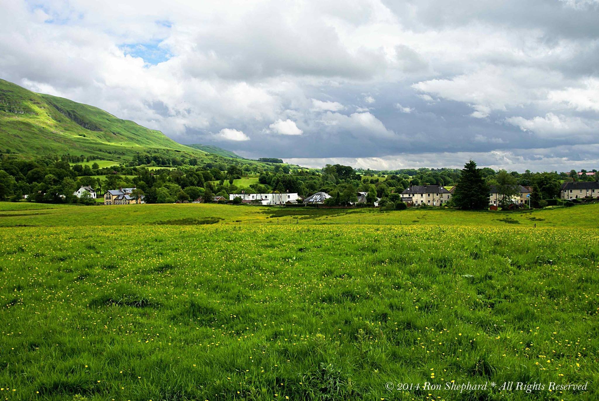 SaveCampsieGree's profile picture. Group of Local Residents who are objecting to the plans to build 400 houses on our greenbelt! #SaveCampsieGreenbelt