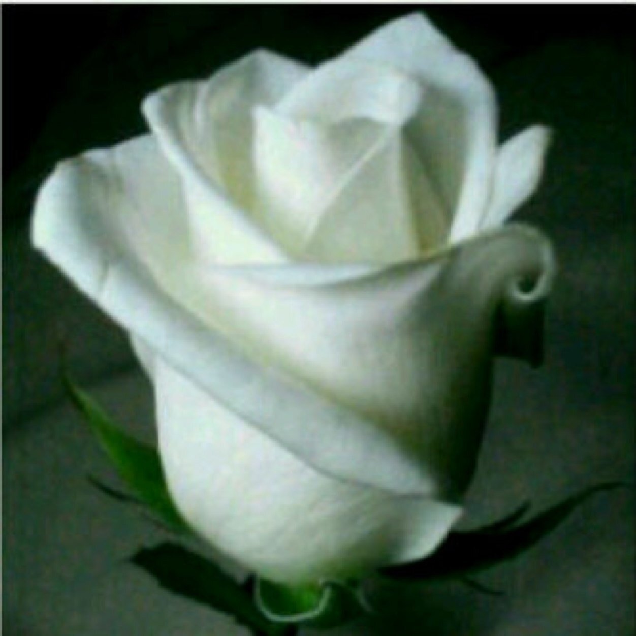 Pecas20's profile picture. 