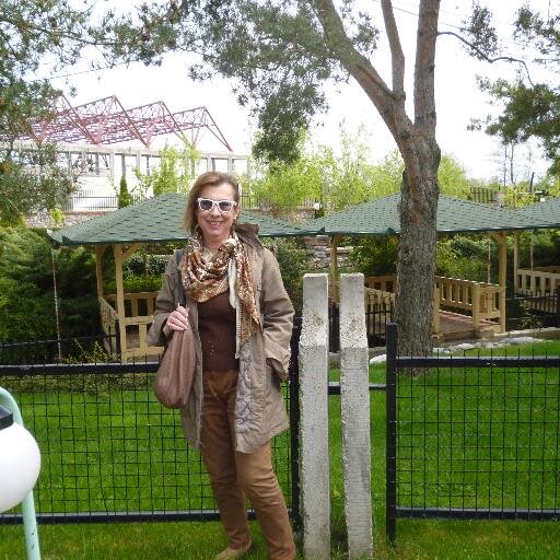 Dr Architect-Urban Planner
District Governor 2470 Rotary International District 2012-13
Assistant Rotary Public Image Coordinator Zone 20 B