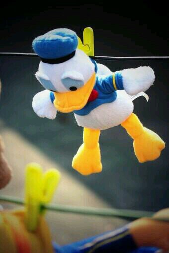 starlove6775's profile picture. 세상에서 나만 빼고 모두 부자였으면 좋겠습니다. '남쪽으로 튀어라' 잼있어요. 아이들에게 엄마품을 돌려주는 대통령을 바라며