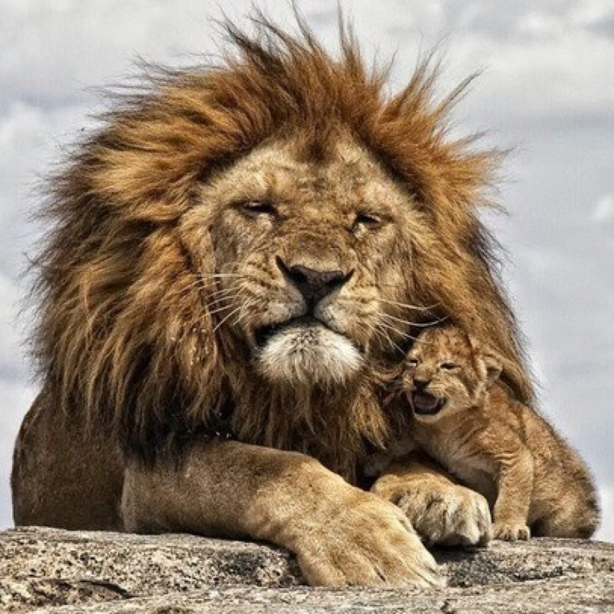 emfreyre's profile picture. 