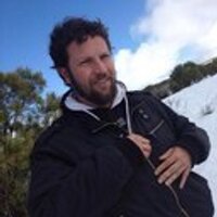 Julian Agudelo H (@pajarracok) 's Twitter Profile