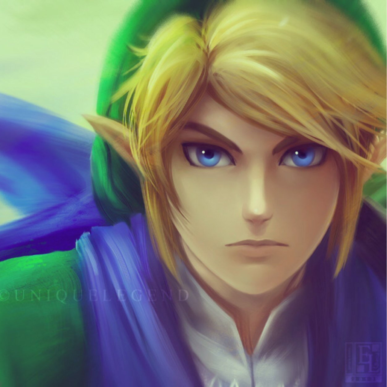 A knight is bound to protect his kingdom with his life and to stand courageous when all else seems hopeless. #ZeldaRP #HyruleWarriors