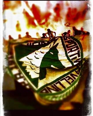 Gi73Giangi's profile picture. 