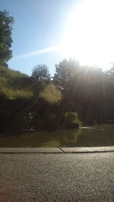 thodrax's profile picture. 