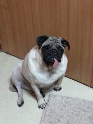 Music_Holer's profile picture. 