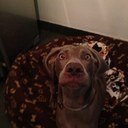 Joseljimenezo's profile picture. 