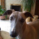 gary cotterill - @gaz512 - Twitter