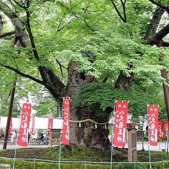 秩父今宮神社　宮司　塩谷崇之
弁護士(真和総合法律事務所)、「社叢学会」理事、「神道国際学会」理事、一般社団法人「まつりごと」代表理事。ニッポン放送『テレフォン人生相談』レギュラー相談員など。
神仏に関する話題のほか、環境問題、教育問題、時事問題など。