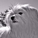 IMdugan's profile picture. lost between thought and expression