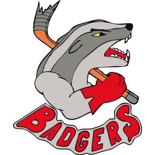 RVSBadgers1's profile picture. RVS Badgers - Inline-Skaterhockey in Spaichingen seit dem letzten Jahrtausend!!
