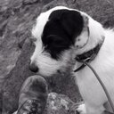 David Pay - @DavidCPay - Twitter