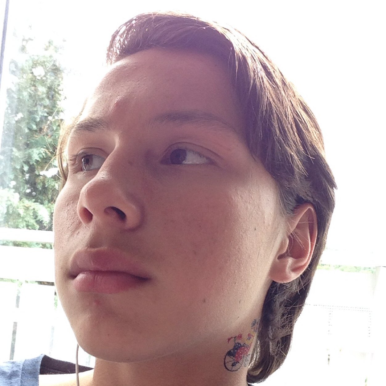 Norsk-Ecuatorianer. 13%Indianer. Gode aner.