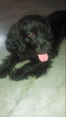 ErazoWalter's profile picture. 