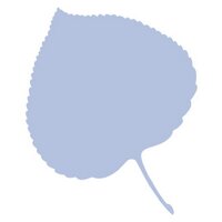 Aspenia online (@aspeniaonline) 's Twitter Profile