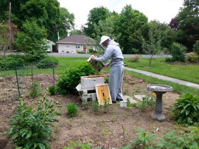 BloodbathIV's profile picture. Father, Husband, Teacher(AP Psychology, Honors Economics, Political Systems and  Justice and Law),Lacrosse player, beekeeper, coach and sometime mayhem creator.