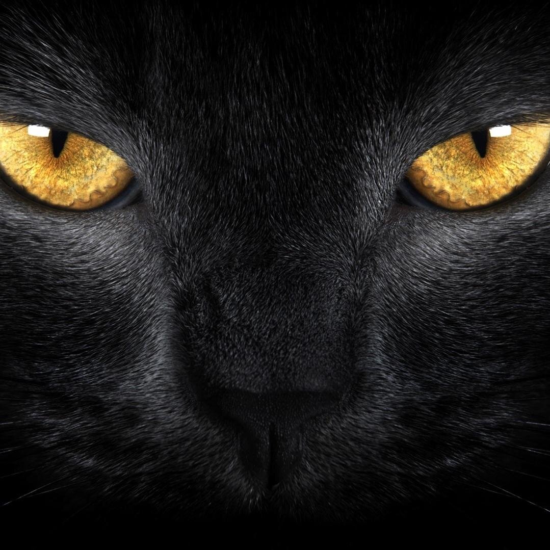 Люблю жить! Follow back¡