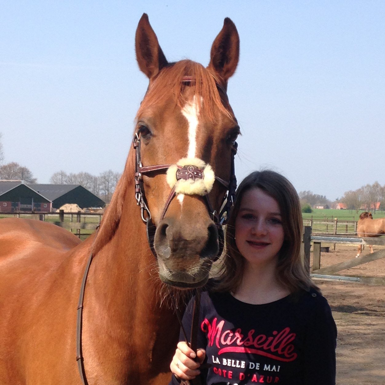horses ❤️
