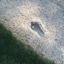 Bernard Franklin - @ulansan - Twitter