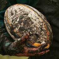 Rugby news, chat, opinion and updates! Writer for http://t.co/omcK9o5Owh and http://t.co/qkFOLfMBh6