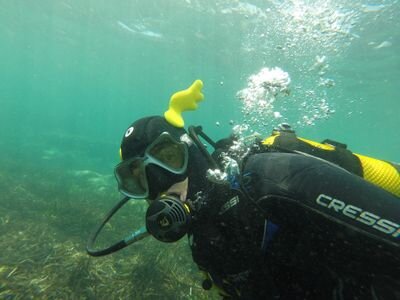 jbustamanteb1's profile picture. 