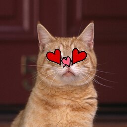 miyasan_akane's profile picture. 某都内WEB製作会社に勤務社畜女子です。
映画（SATCとか）、インテリア、占い、女子力アップ、ネイル、ネコとかが好きなそろそろアラサーな女子。