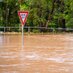 Climate Change Adaptation Vulnerability & Services (@ccadaptgroup) Twitter profile photo