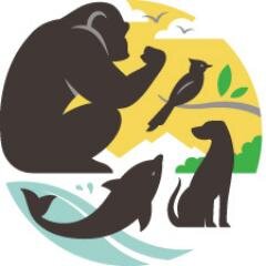 Official tweets of the Chimpanzees in Context meeting; the latest in the Understanding Chimpanzees series. 18-20 August 2016 at @lincolnparkzoo #chimpsymp