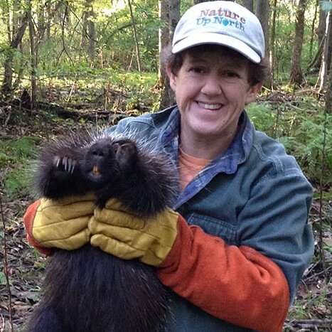 Ecologist @StLawrenceU. Porcupines, mammals, road ecology & more. Direct @NatureUpNorth. She/her/hers. Tweet science, politics, dogs. Tweets my own.
