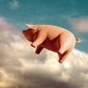 MuVal's profile picture. Me gusta: la música a la que mi tía llama de mariguanos-de Pink Floyd más 🤟; hablar de política y busco no emputarme; los perritos. Cuánto cuestan las abejas?