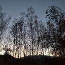 asdfg (@0585Alex) Twitter