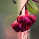 Lynn Strother - @lynnmstrother - Twitter