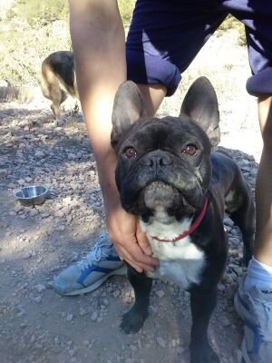 Marcosct90's profile picture. 