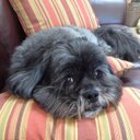 Deb Allen - @stamperdeb - Twitter