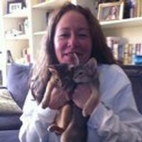 Dr. Jeani O'Brien (@jeaniobrien) 's Twitter Profile Photo Dr. Jeani O'Brien (@jeaniobrien) 's Twitter Profile Photo