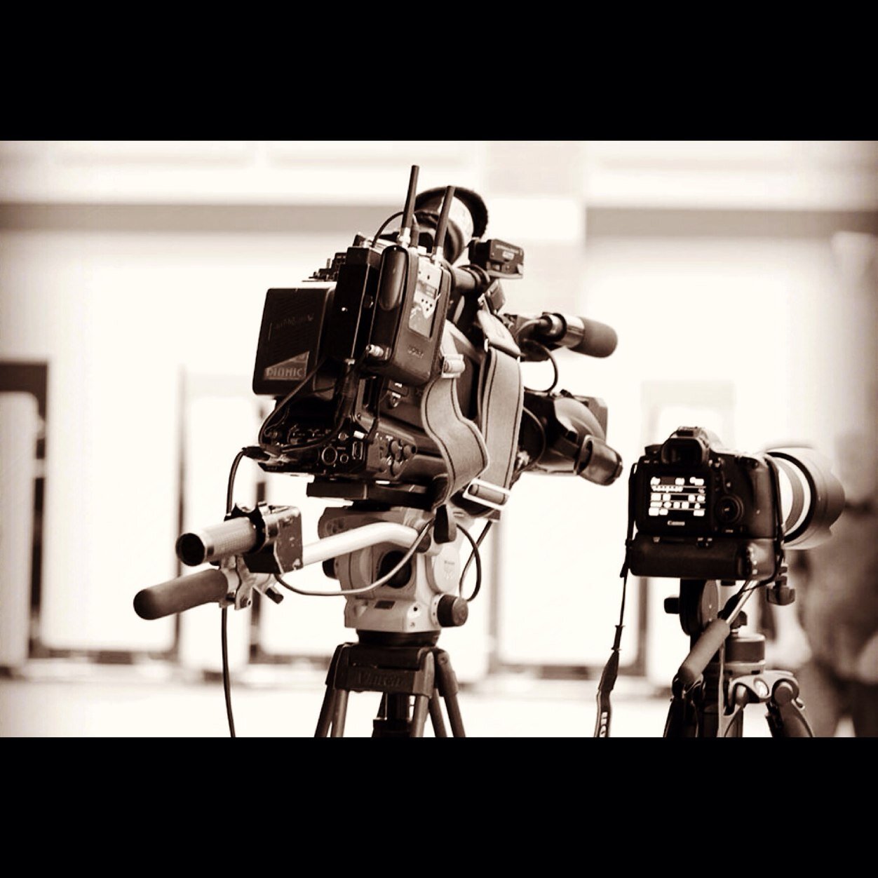 AmySalterPhoto's profile picture. residential and commercial real estate photography