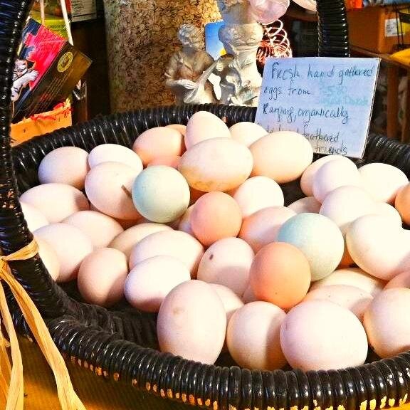 ElizabethAnnaFW's profile picture. 