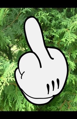 Ramen_4dayz's profile picture. 