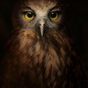 Torexy's profile picture. 