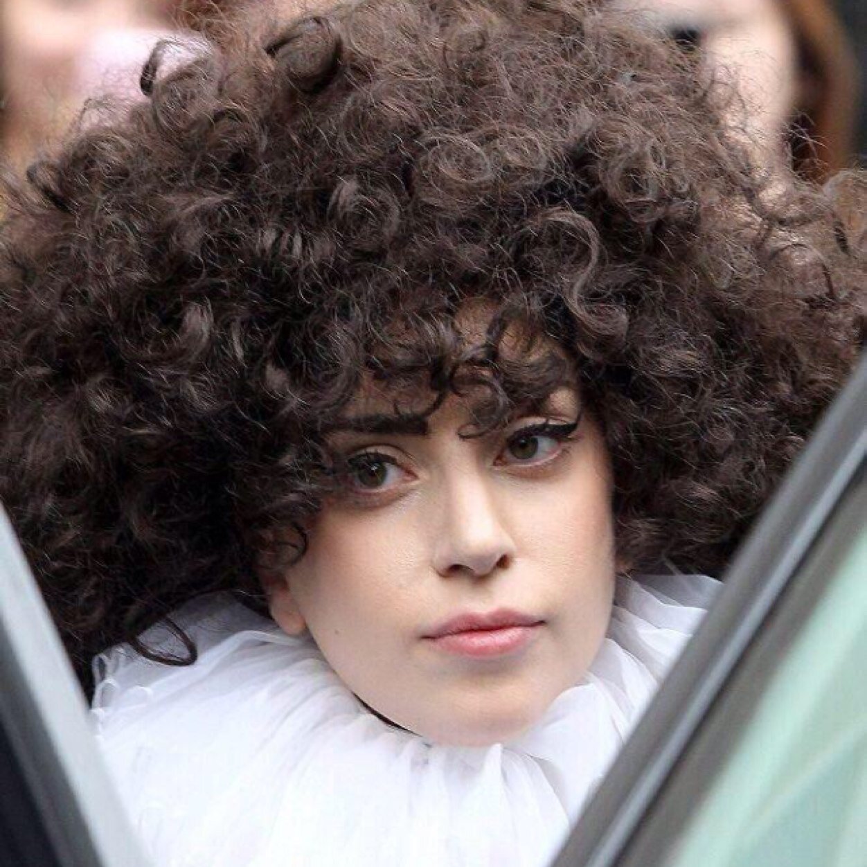 Little Monster since 11' *lacee follows* *iggy tweeted* this acc has 3 owners.