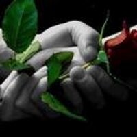 Daniel Pereira (@odpp) 's Twitter Profile