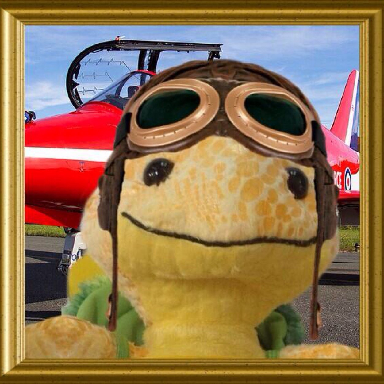 timmyturtle14's profile picture. Hi! Im Timmy the Turtle! I like going on adventures & exploring under the sea. I like eating Seaweed & drinking Coral juice! Join me on my adventures! -Timmy