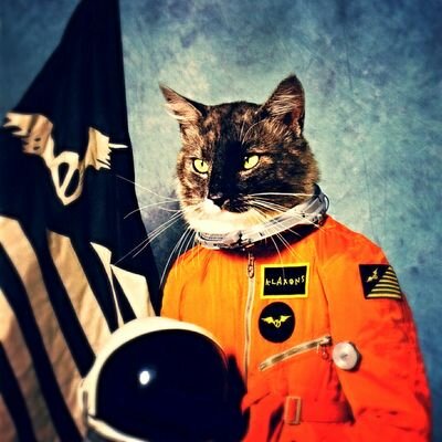 Baptistelab's profile picture. 