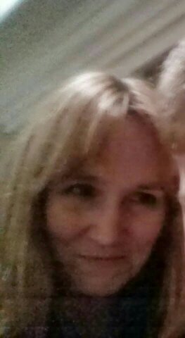 bobdog01's profile picture. 